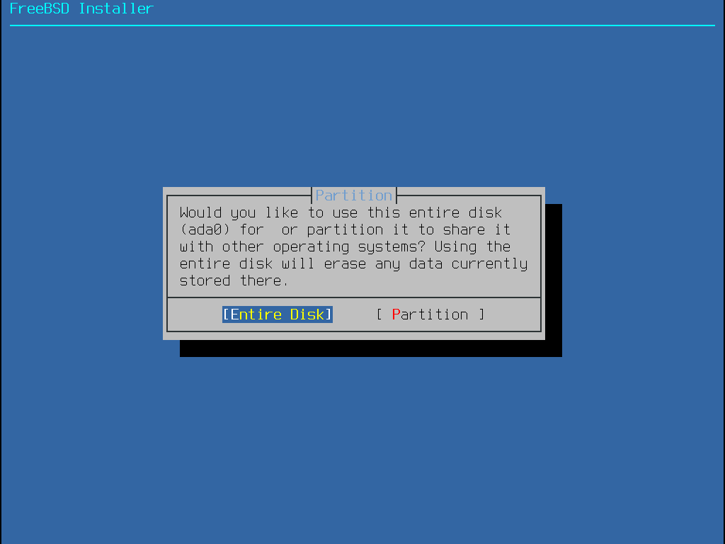 Menu asking the user if he wants to use all the available space on the disk or wants to make a partition